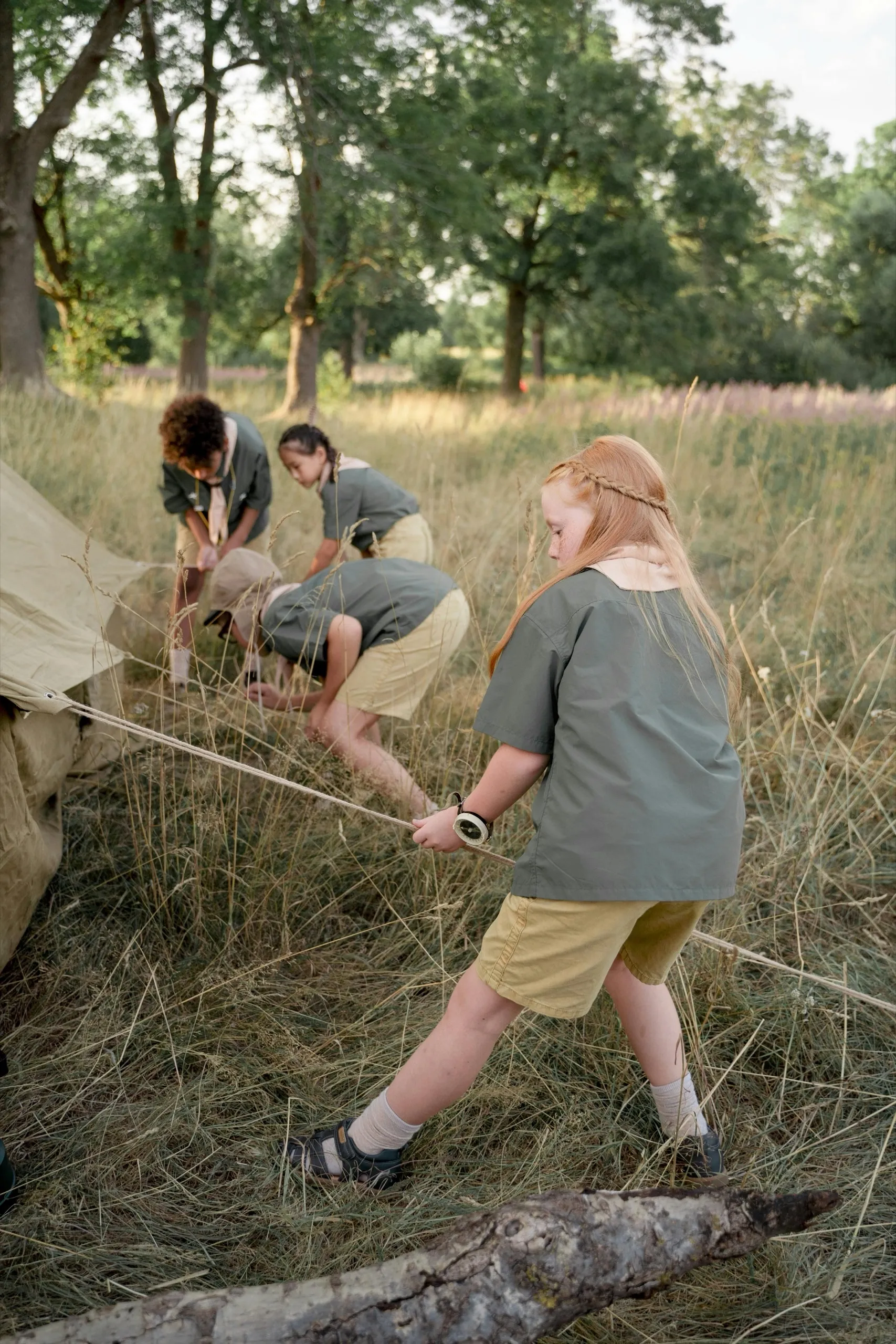 Children in scout uniforms set up a tent in a grassy forest. They focus intently, surrounded by tall trees and golden sunlight.