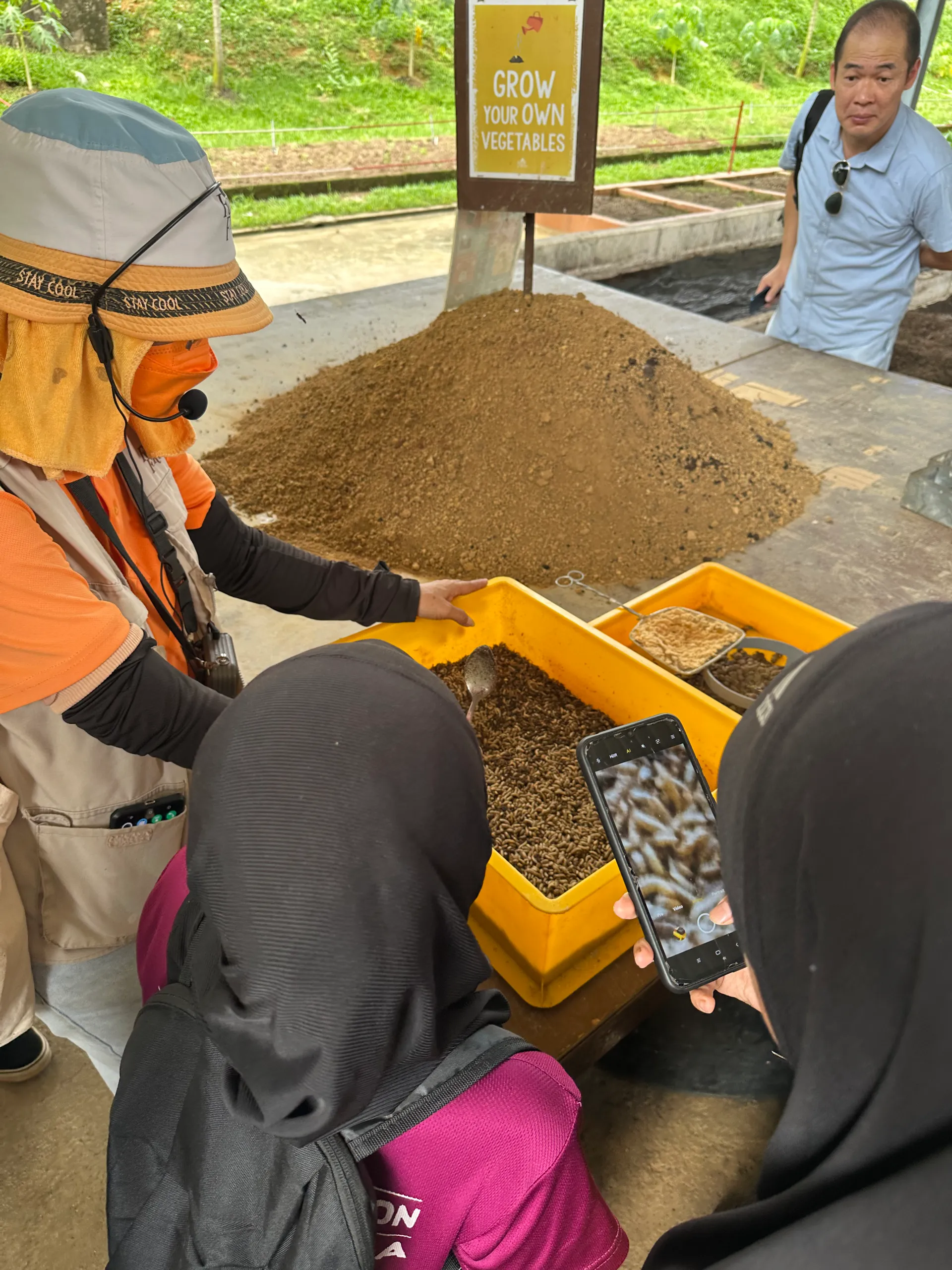 Worm compost