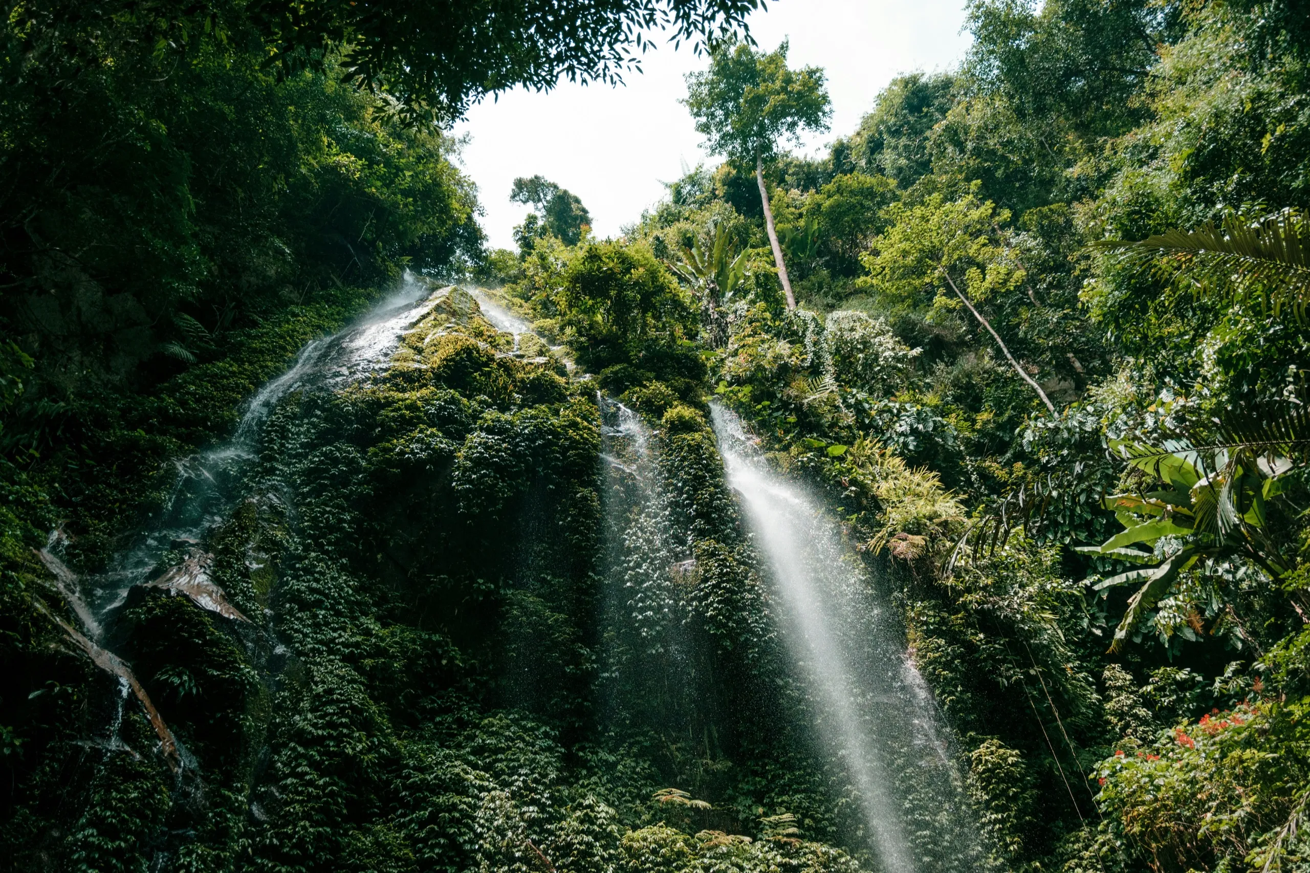 job-savelsberg-D7wMZhkjqVk-unsplash.jpg