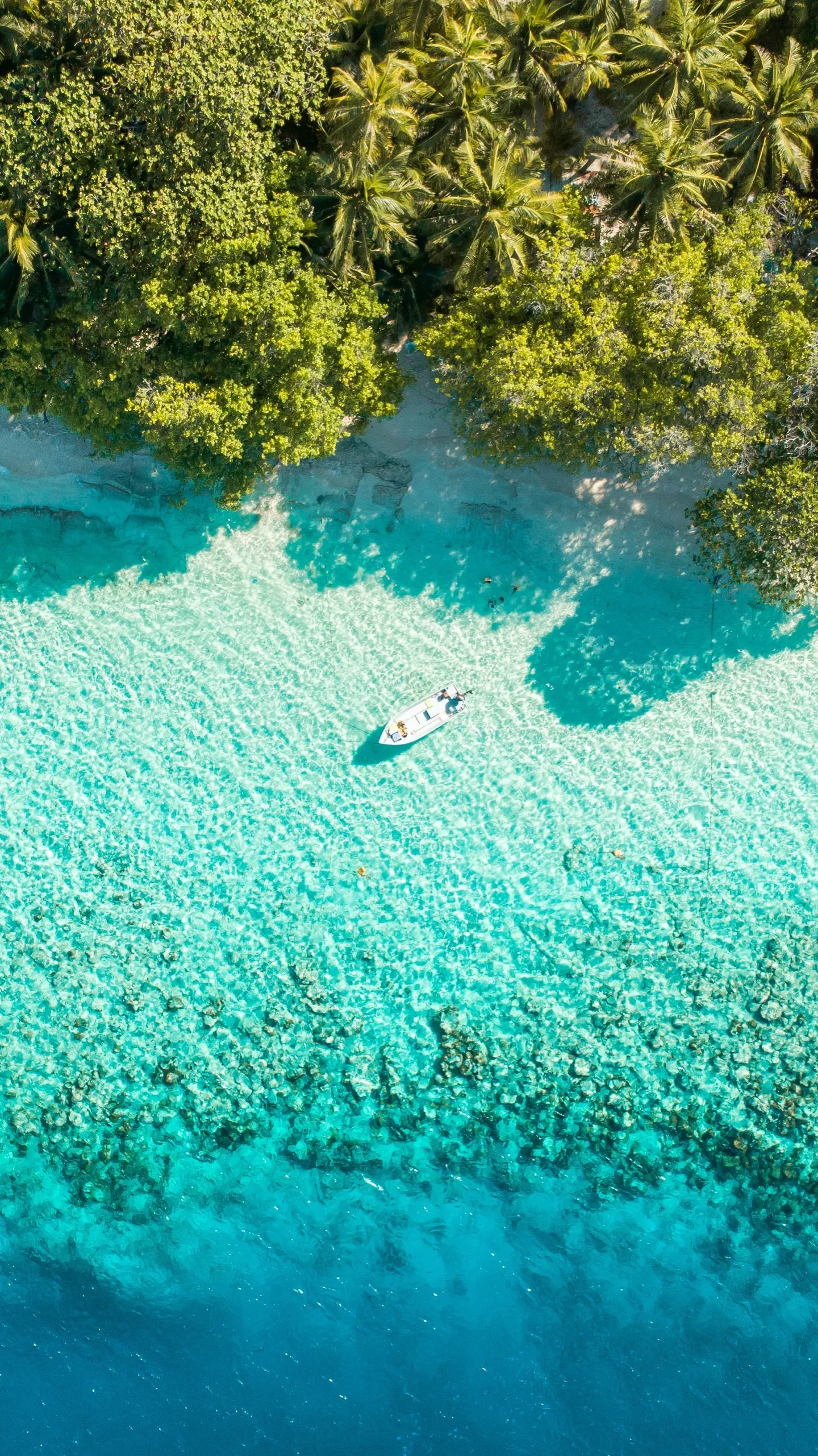 Image by Ahmed Yaaniu